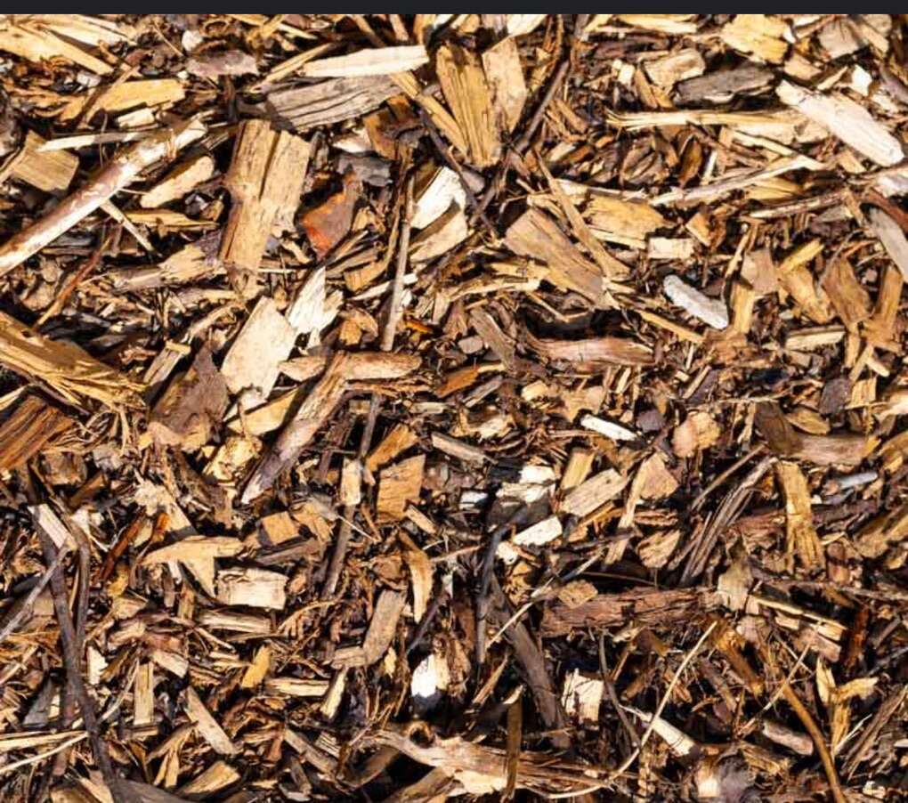 Free Clean Wood chips Wanted