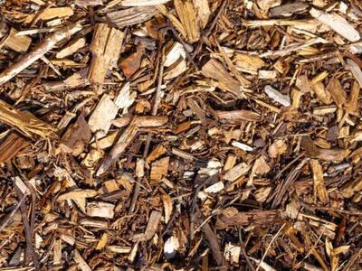 Free Clean Wood chips Wanted