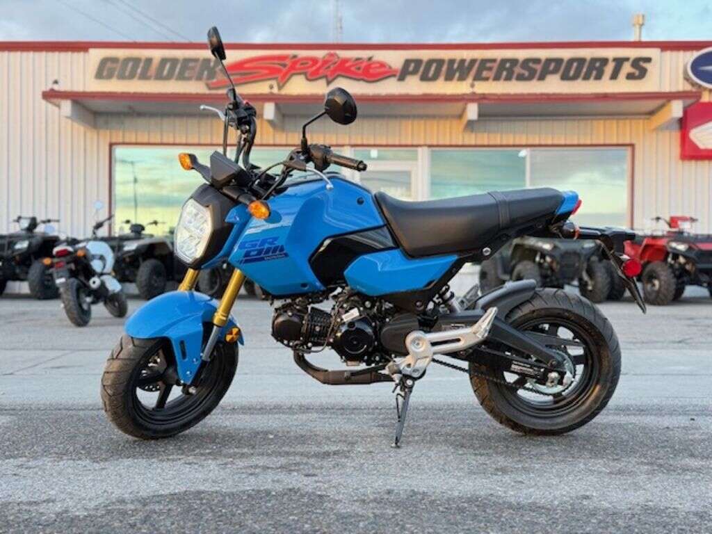 2025 Honda® Grom