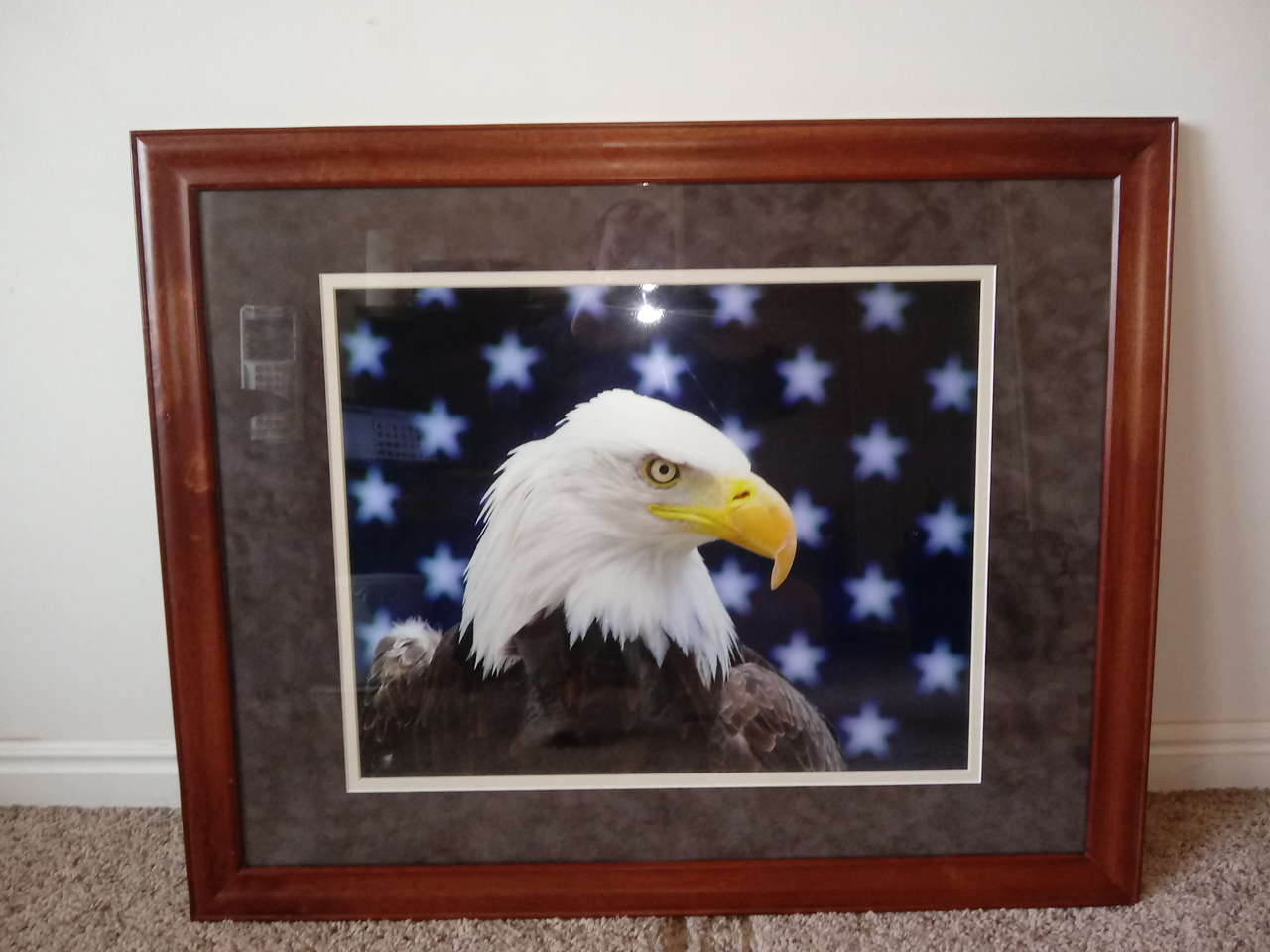 Bald Eagle Professionally Framed Photo with U.S. Flag, 16x20 photo, 25x31 Frame