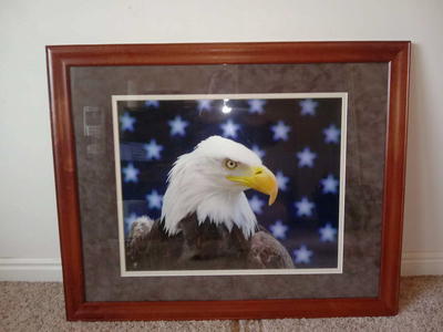 Bald Eagle Professionally Framed Photo with U.S. Flag, 16x20 photo, 25x31 Frame