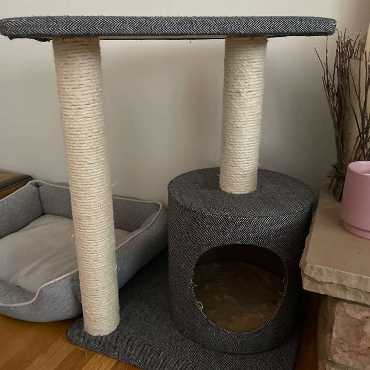Cat House And Scratch Post Pets