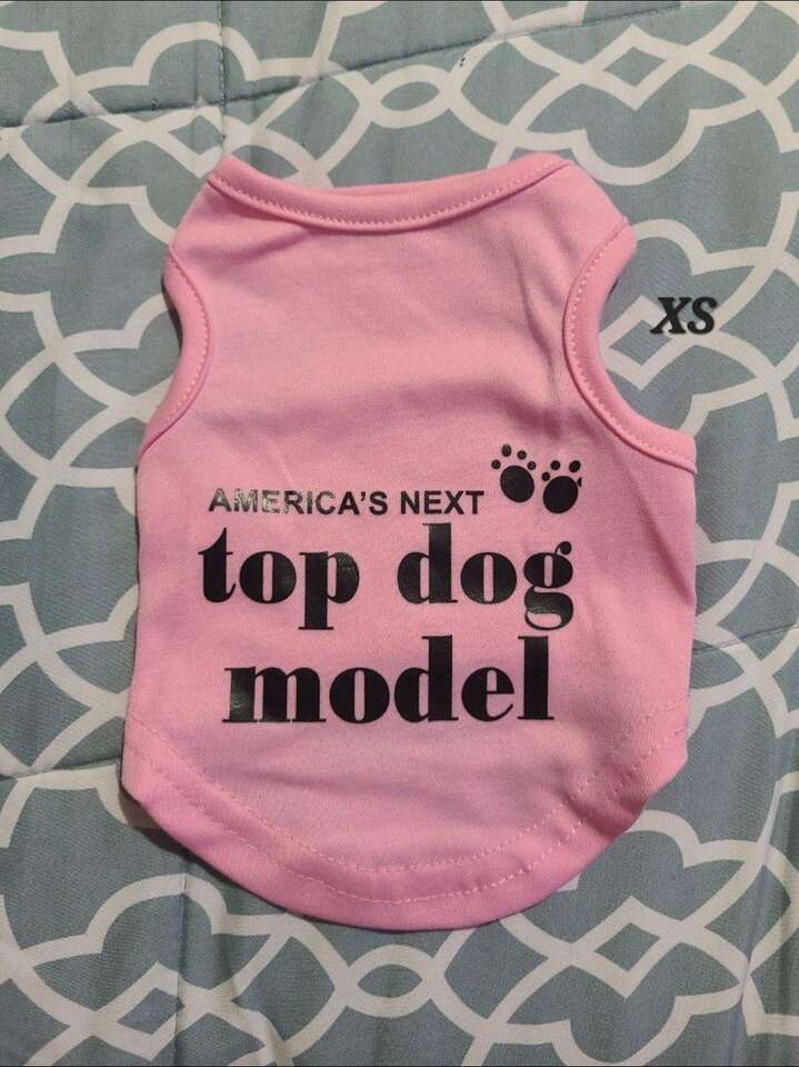 Dog Or Puppy Shirt Xs New Pink