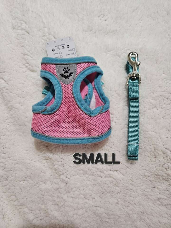 Dog Or Puppy Harness and Leash New Small