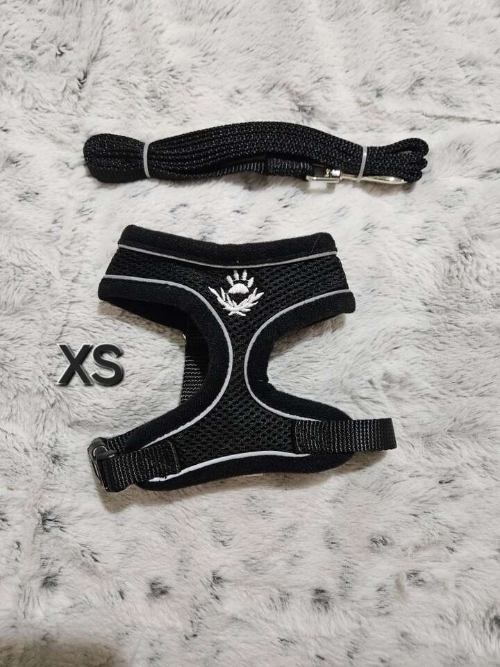 XS Dog leash and Harness New