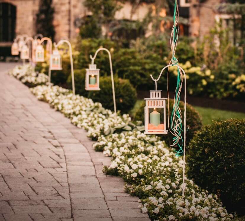 White shepards hooks (10)for rent