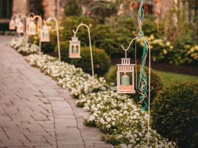 White shepards hooks (10)for rent