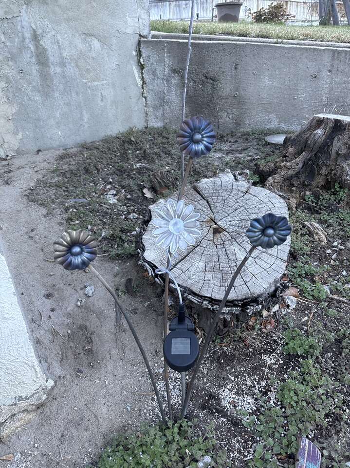 Daisy Art With Solar Light Daisy