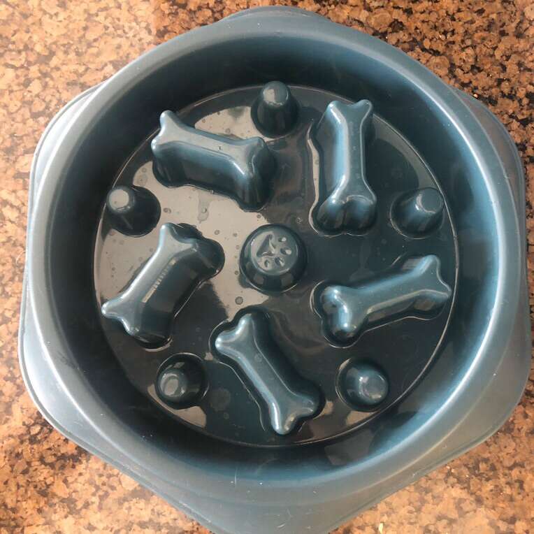 Slow Feeder Dog Bowl 