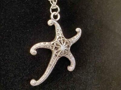 NEW - Large Silver Starfish With Long Chain - Would Pair Great W/ My Beach Glass Necklaces - C PIX