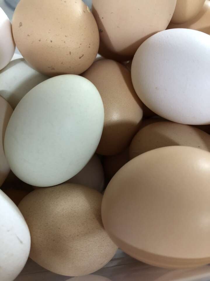 Fresh Organic Eggs