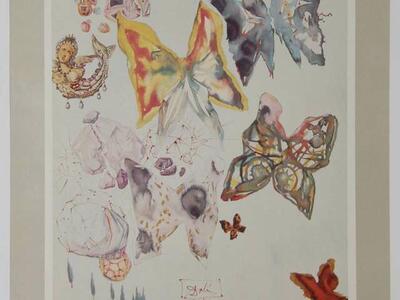 1951 Salvador Dali, Butterflies