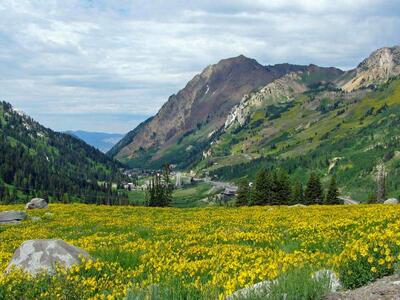 10 lots in Albion Basin (4 in Cecret Lake Sub, 3 in Albion Basin, in Albion Alps_