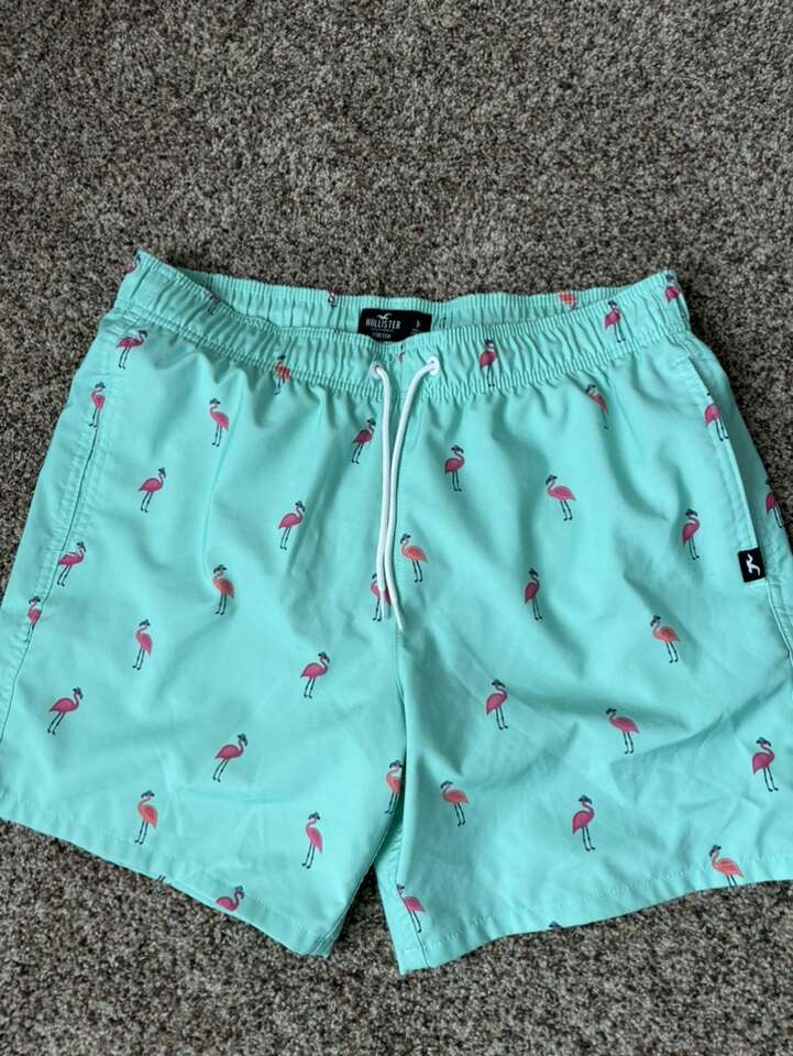MENS HOLLISTER BATHING SUIT- SIZE M