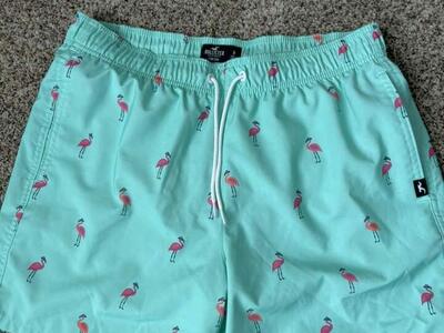 MENS HOLLISTER BATHING SUIT- SIZE M