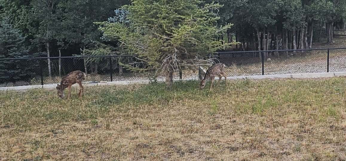 .77 acre ESTATE LOT in SUMMIT CREEK/ WOODLAND HILL