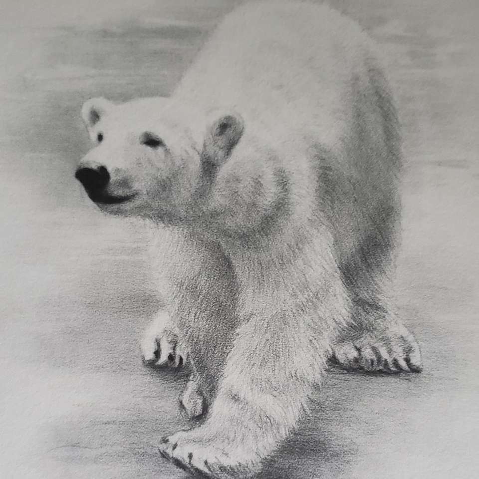 1981 CHARLES FRACE "POLAR BEAR" SIGNED/FRAMED