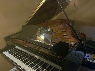 Hallet Davis Grand Piano