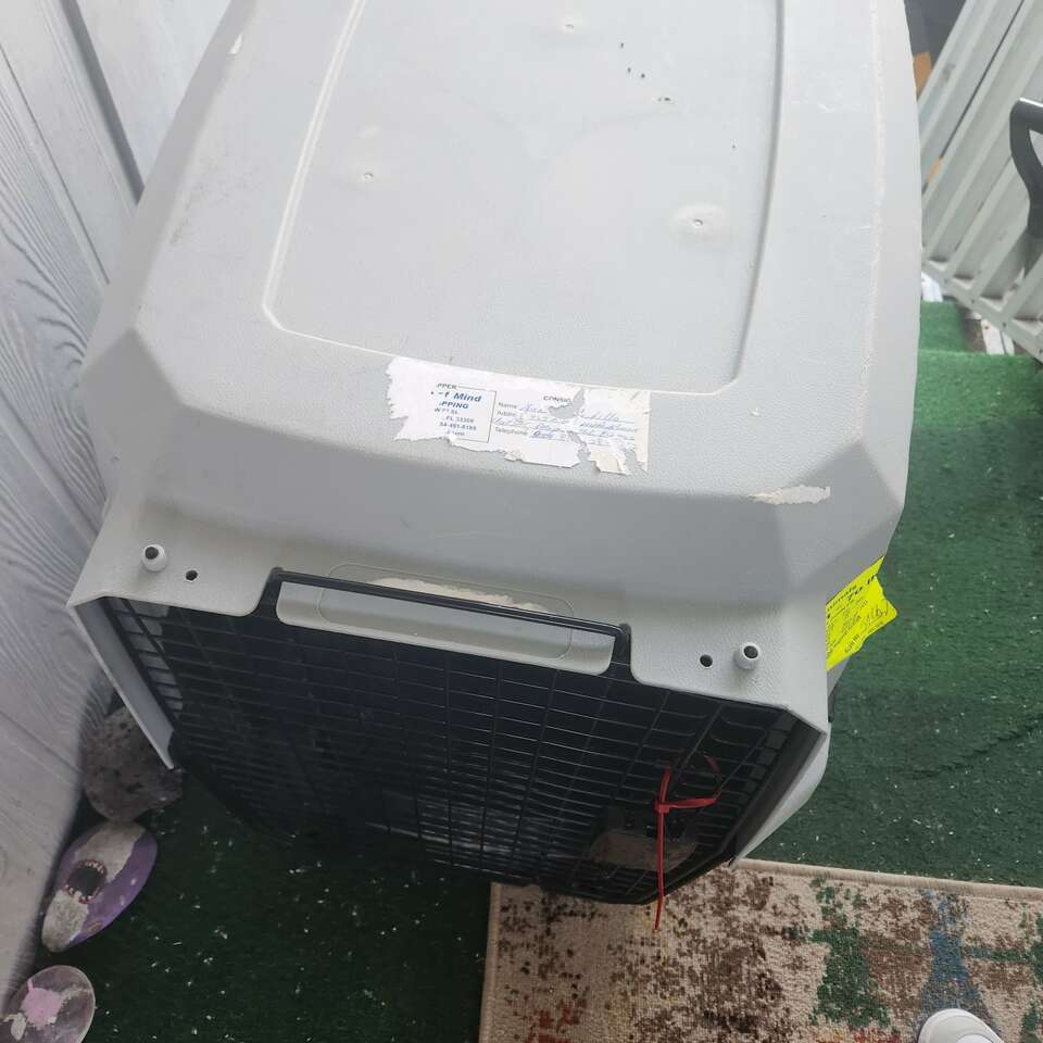 Large animal kennel Pets