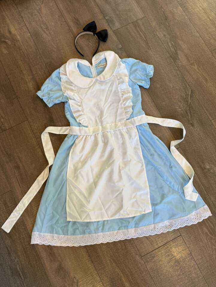 Alice In Wonderland Costume
