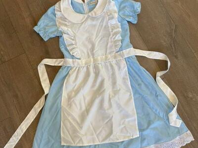 Alice In Wonderland Costume