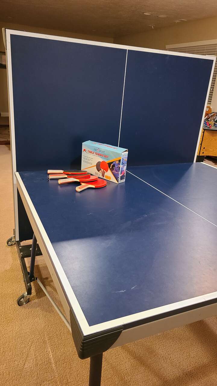 Ping Pong table Furniture