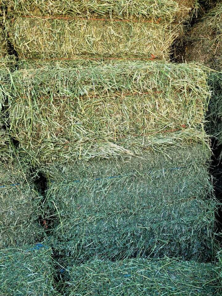 PREMIUM ALFALFA / GRASS HAY / ALFALFA/GRASS MIX