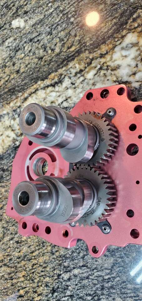 SS 585 Gear drive ,Feuling Cam Plate & 7050 Oil Pump. Twin cam soft tail.