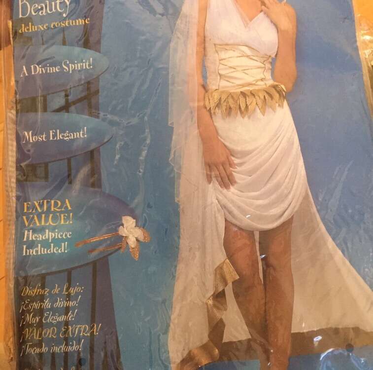 Greek Goddess Costume