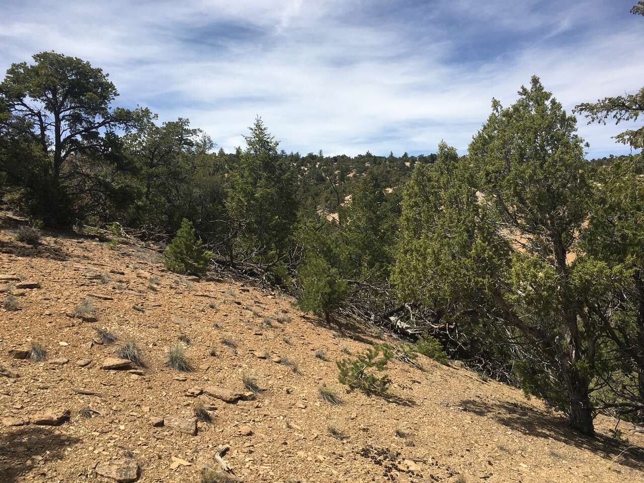 $2/ Night - Camp Ground / Recreational Property