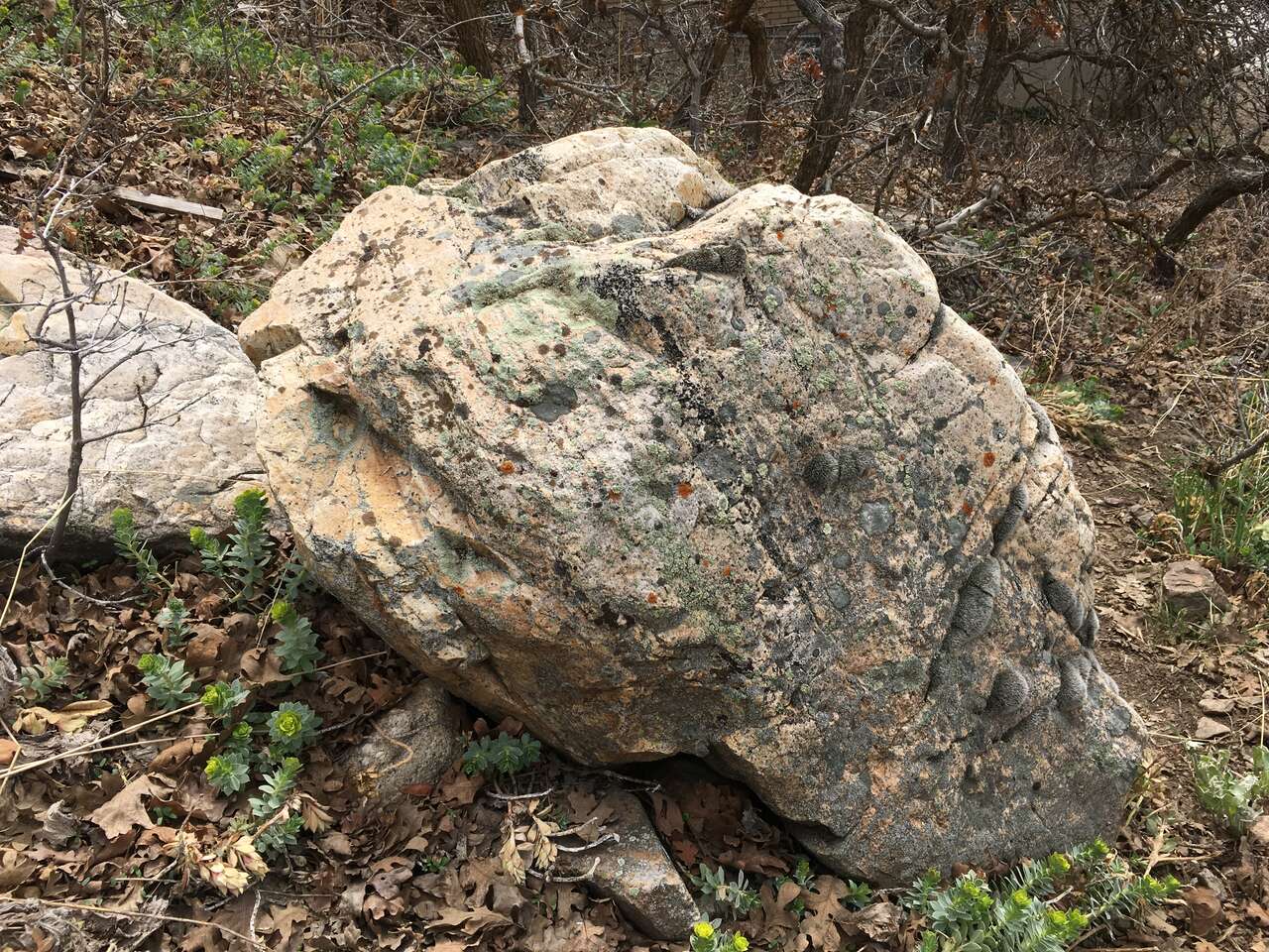 $75/Month – Hillside Land for Lease in Salt Lake's Eastside