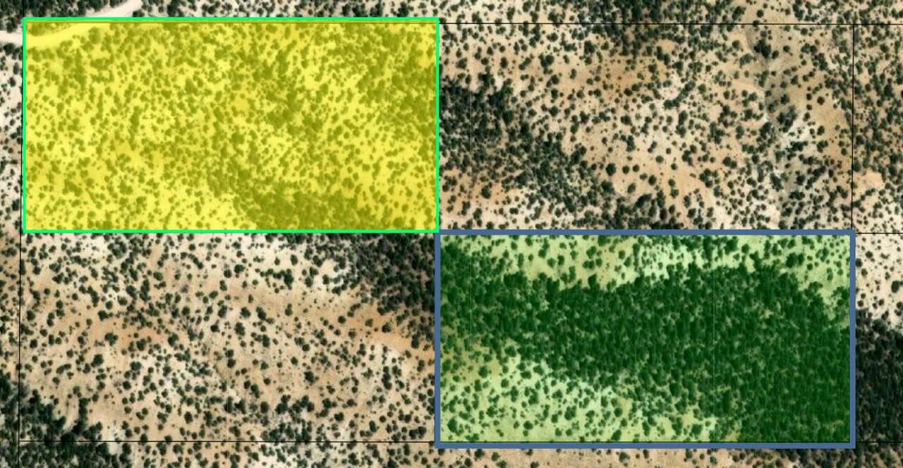 5 Acres Off-Grid Land with Road Access – Survivalist’s Paradise