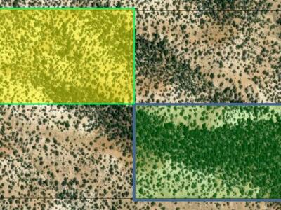 5 Acres Off-Grid Land with Road Access – Survivalist’s Paradise