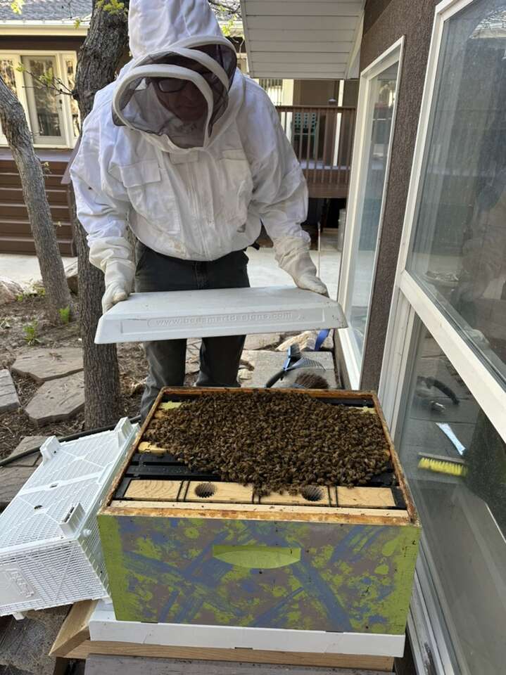 Bee Swarm R.E.S.C.U.E.R.S