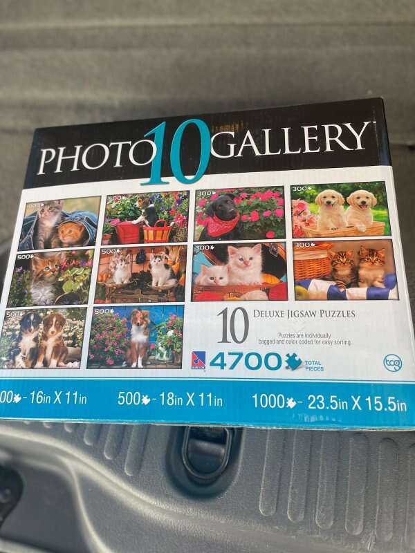 jigsaw puzzle 10 pack