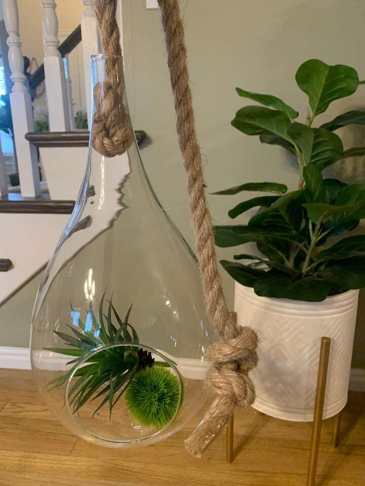 Rope/Glass Hanging Terrarium
