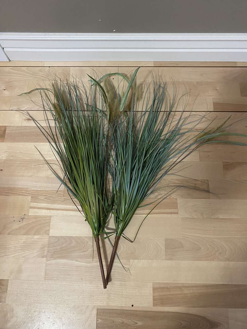 Bunny tail grasses (2 stems available)