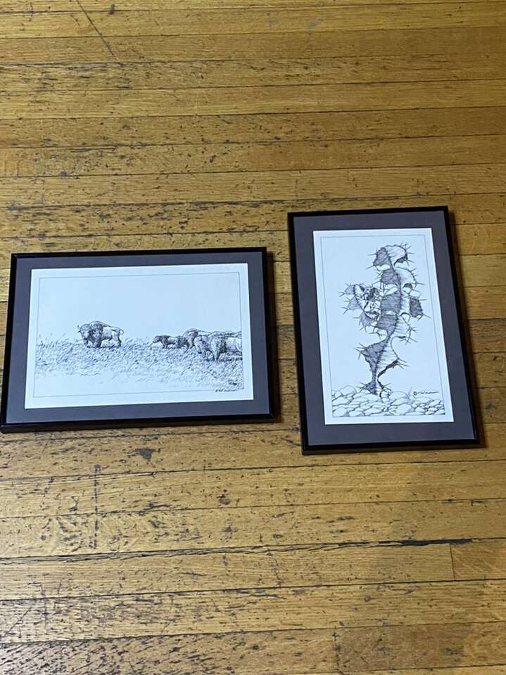 Pen & Inks Drawing Bison Glazing And Cactus