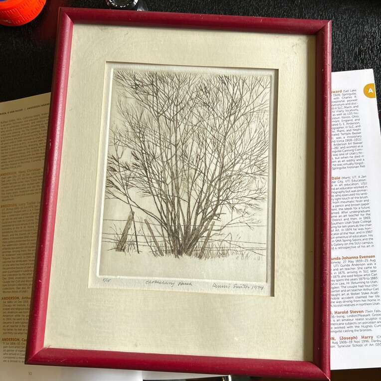 Dennis Smith Pen&Ink chokeberry bush 5/15 Signed