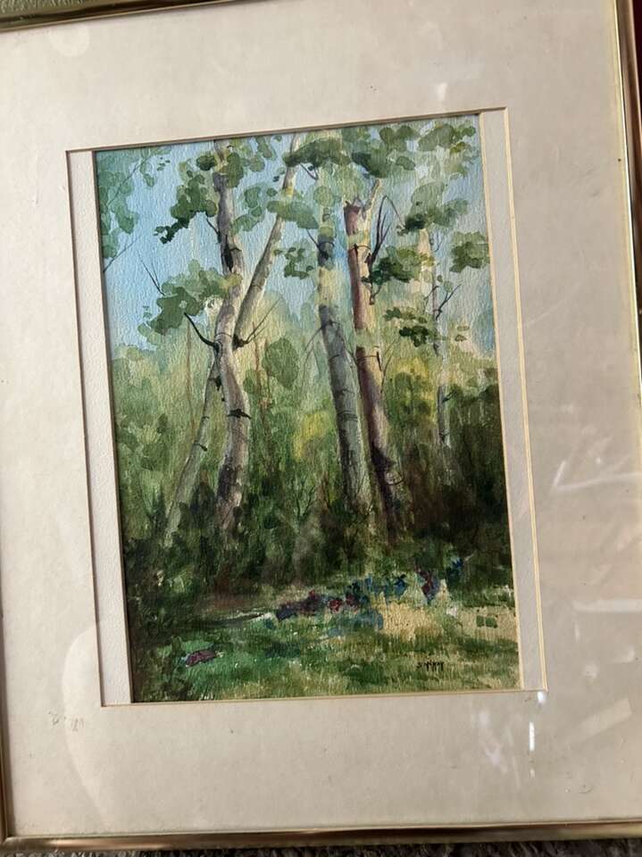 Utah Artist Shirley Mckay Britsch Water Color Cottonwood Trees