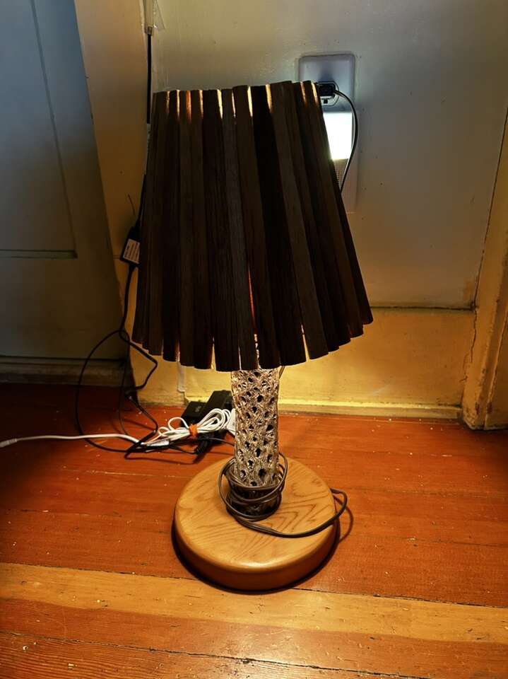 Beautiful vintage driftwood and Cactus table lamp