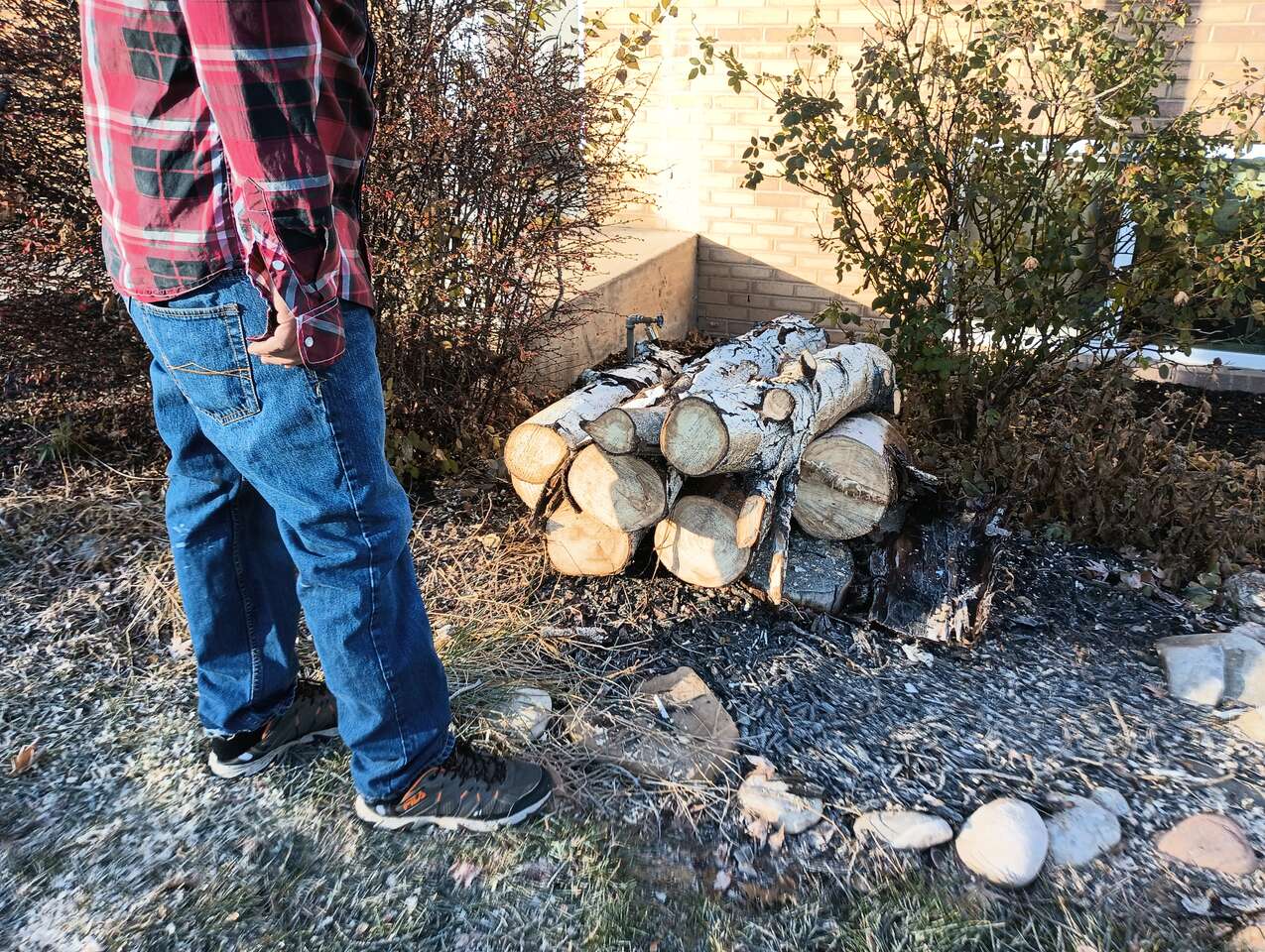 Free firewood FREE