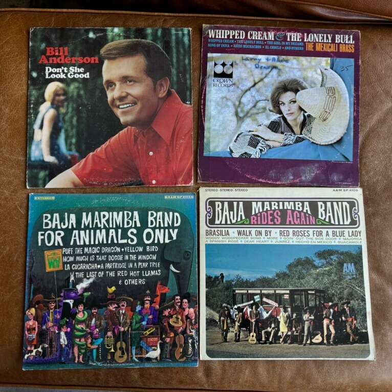 Vintage Vinyl Records