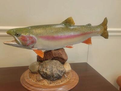 Fish Taxidermy