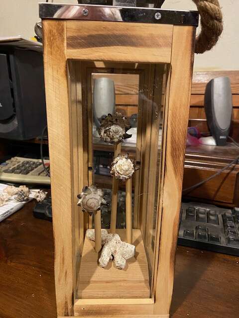WOODEN LANTERN WITH SEA SHELLS