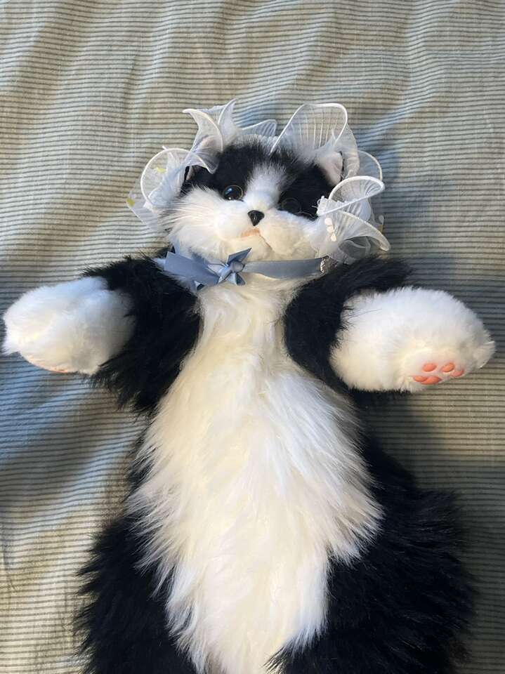 Chongker Cat Backpack Toy