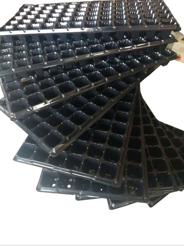 Seed Trays--- pack of 10 trays with 72 cell