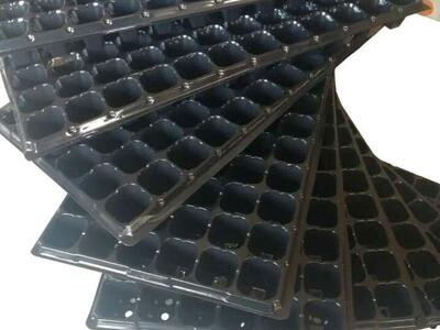 Seed Trays--- pack of 10 trays with 72 cell