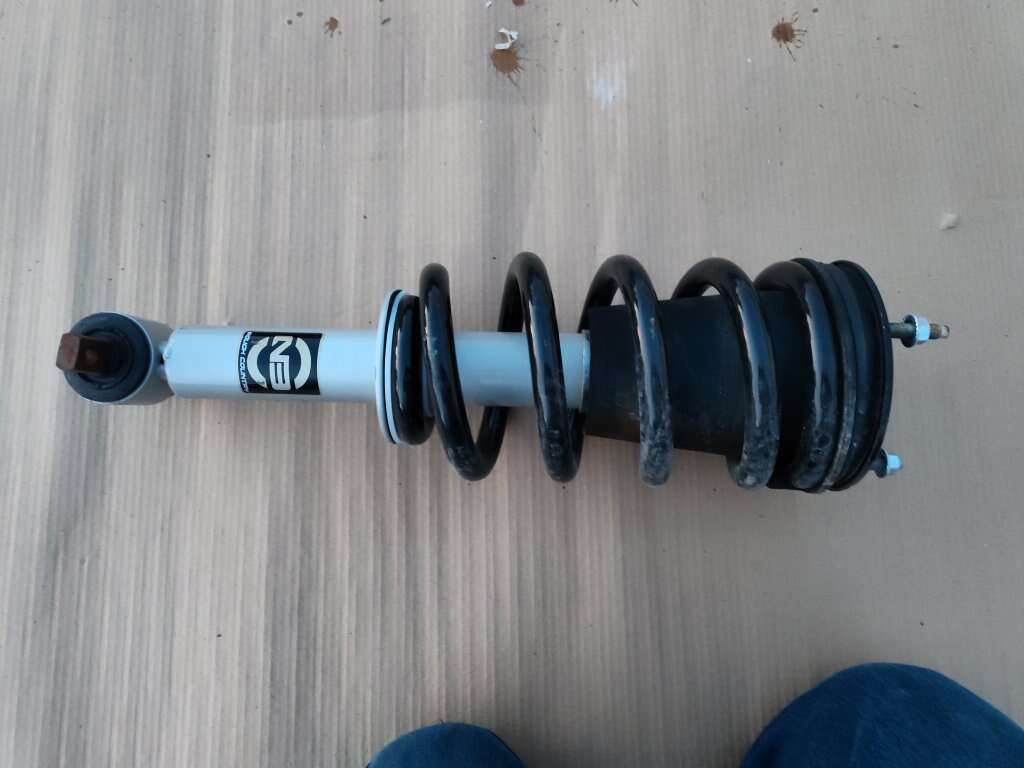 Loaded Strut Rough Country 649029