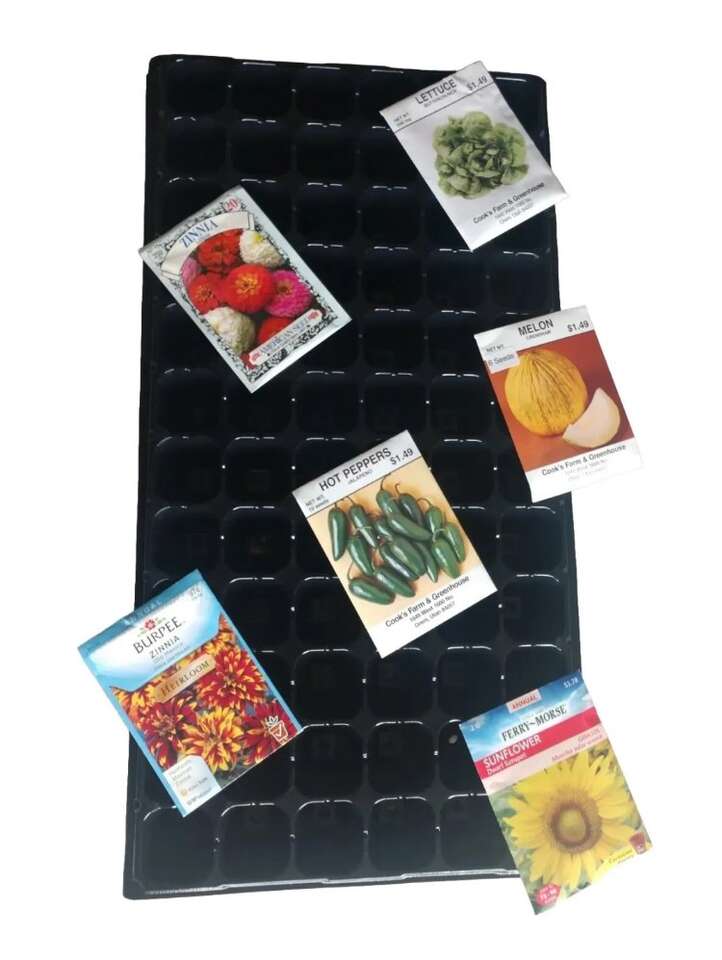 Seed Tray Blowout!!!!